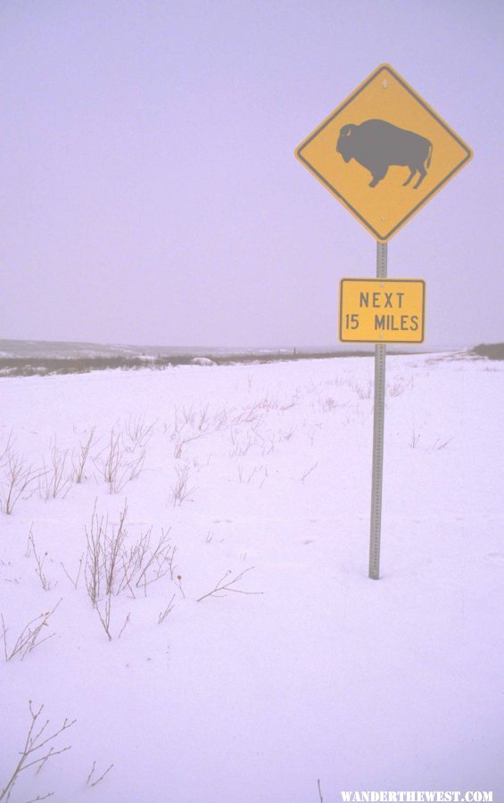 Winter at the South Entrance