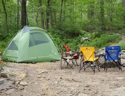 Wooded camping