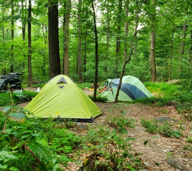 Wooded camping