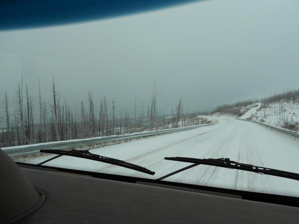 Wyoming highway 89 north of St Mary snowing burned still standing trees