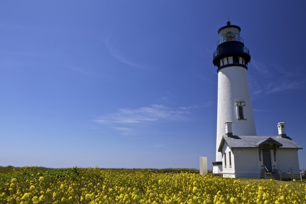 Yaquina Head