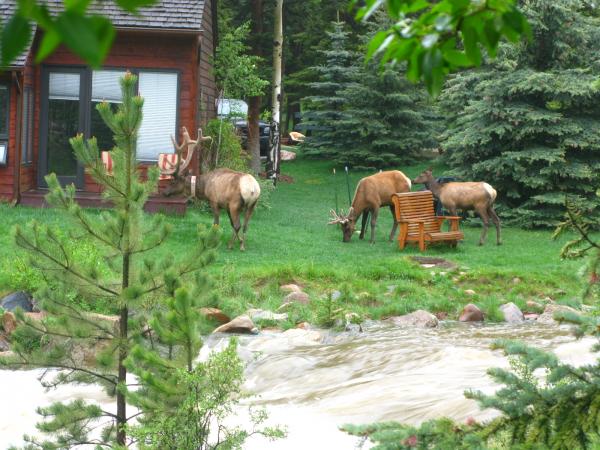 Year-round Estes Park residents.