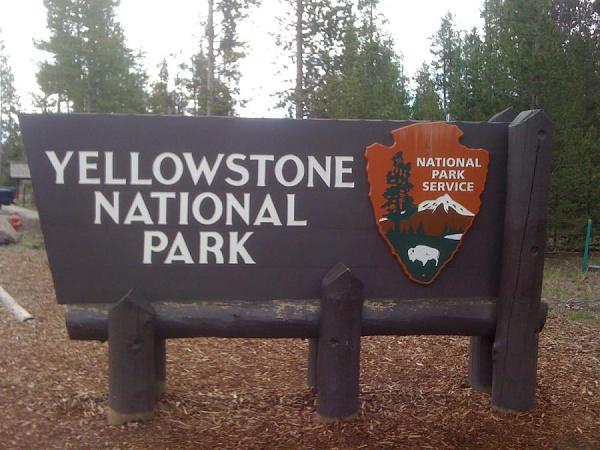 Yellowstone National Park.