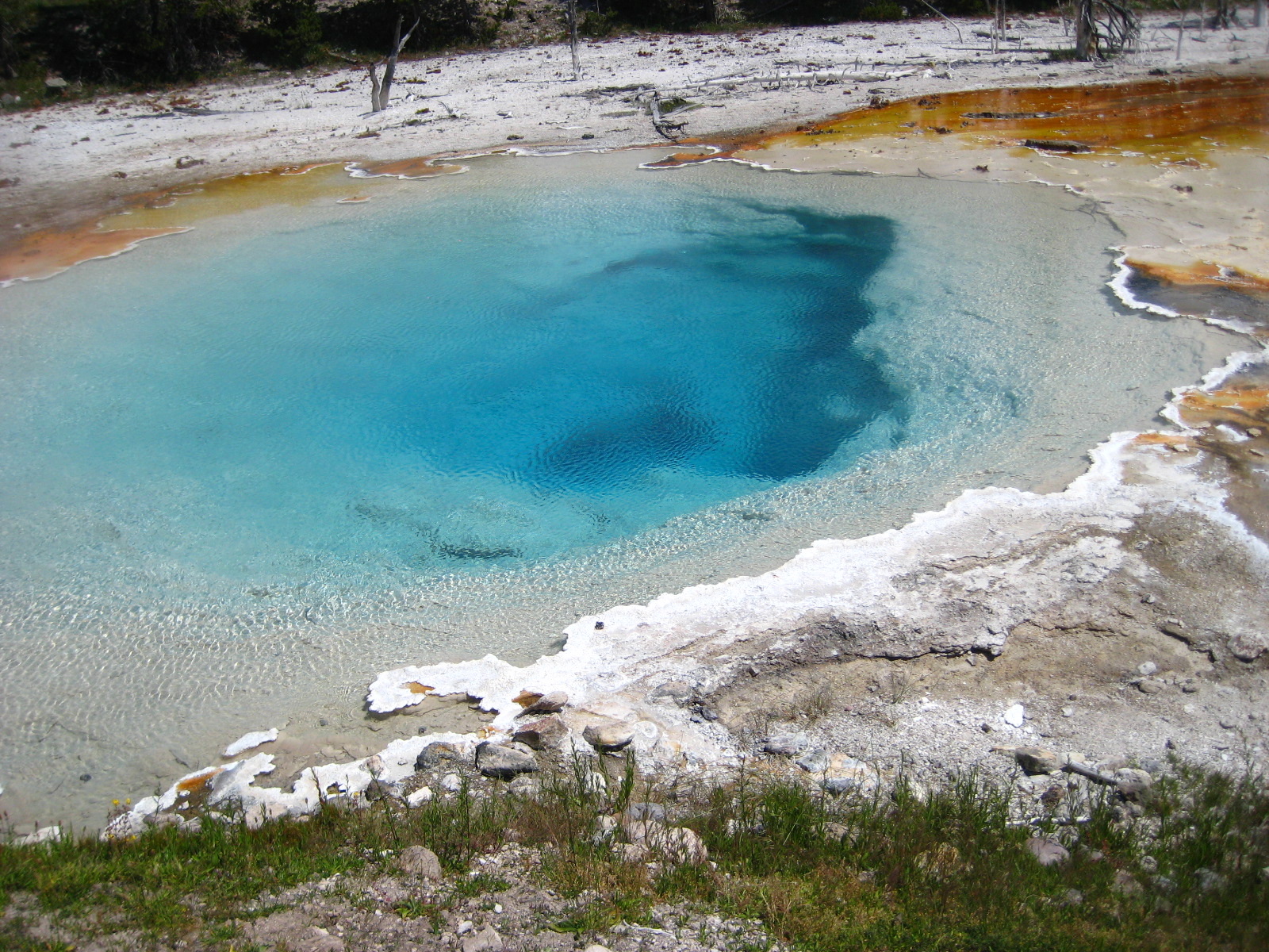 Yellowstone Vacation 2011