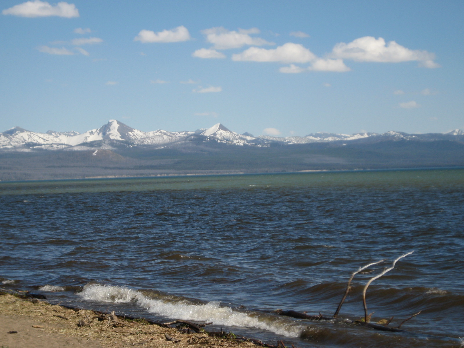 Yellowstone vacation 2011