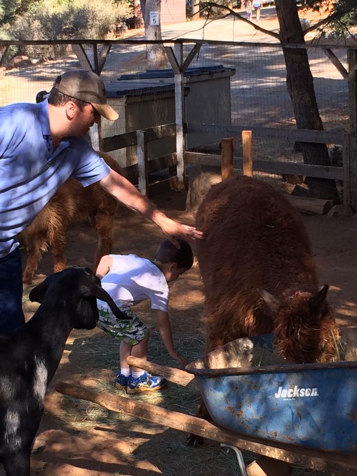 Yosemite Pines RV park petting zoo