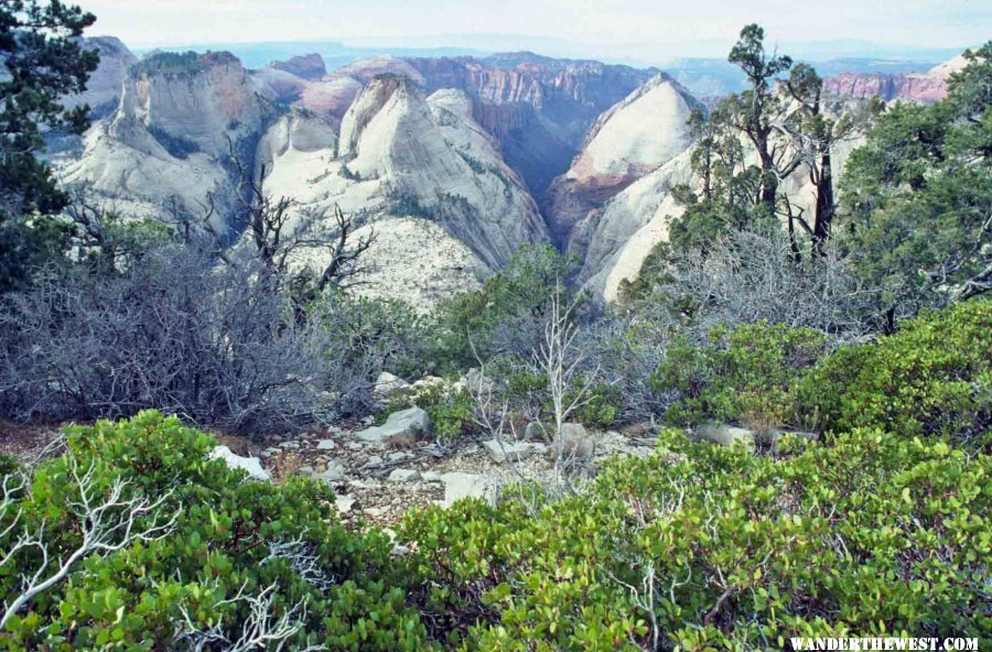 Zion NP's West Rim Trail