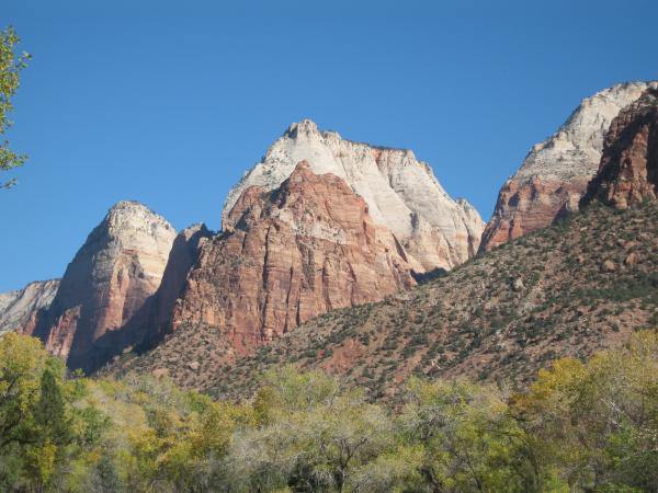 Zions