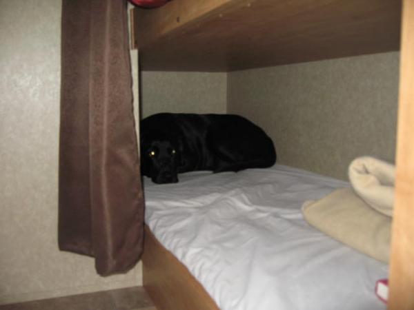 Zoey sleeping in the bottom bunk=]